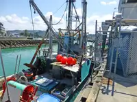 Trawler 出售