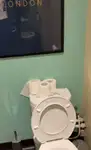 客滚船 待售