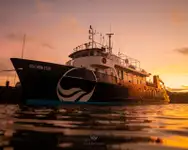 测量船 待售