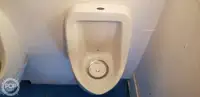 双体船 待售