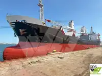 散货船 出售