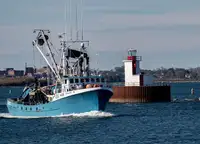Purse seiner 出售