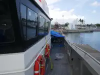 双体船 待售
