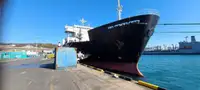 Ro-Ro ship 出售