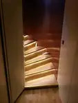 邮轮 待售
