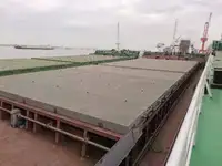 散货船 待售