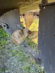 工作船 待售
