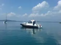 船员船 出售
