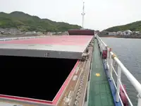 散货船 待售