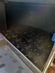 邮轮 待售