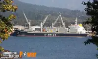 散货船 出售