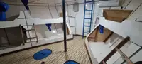 拖船 待售