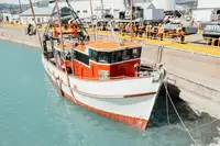 Trawler 出售