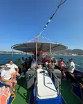 潜艇 待售