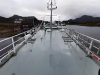 滚装船 待售