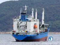 冷藏船 待售