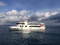 邮轮 待售