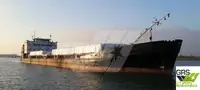 散货船 出售