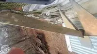 邮轮 待售
