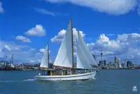 挖泥船 待售