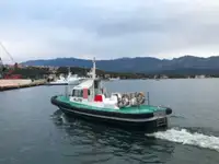 引航船 待售
