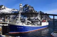 Purse seiner 出售