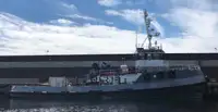拖船 出售