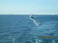 散货船 待售