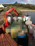 工作船 待售