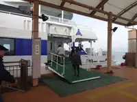 双体船 待售