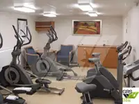 集装箱船 待售