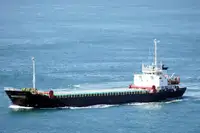 散货船 出售
