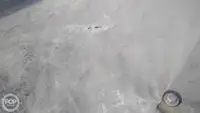 集装箱船 待售