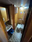 集装箱船 待售