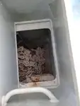 渡轮 待售