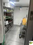 邮轮 待售