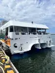 双体船 待售