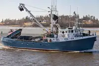 Purse seiner 出售