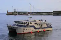 测量船 待售
