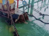 驳船 待售