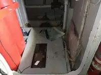 邮轮 待售