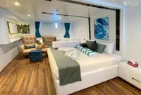 潜水支援船 待售