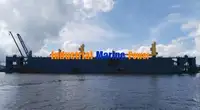 浮动船坞 待售