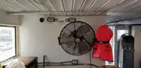双体船 待售