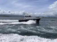 领航船 出售