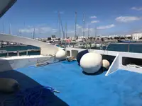 双体船 待售
