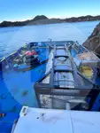 散货船 出售