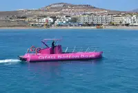 游轮 出售