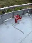 工作船 待售