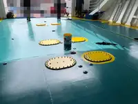滚装船 待售